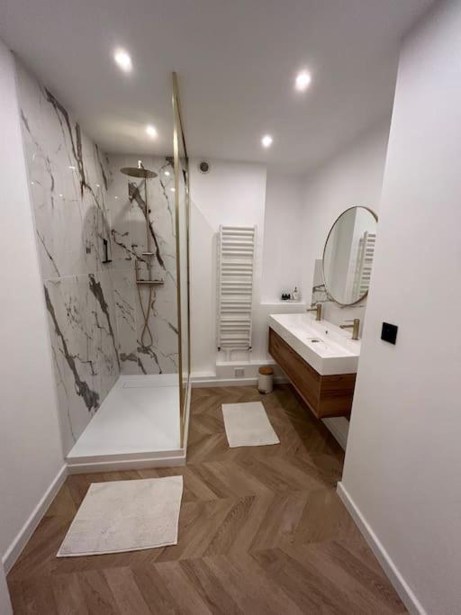 Appartement De Charme Hyper Centre Le Mans Zewnętrze zdjęcie